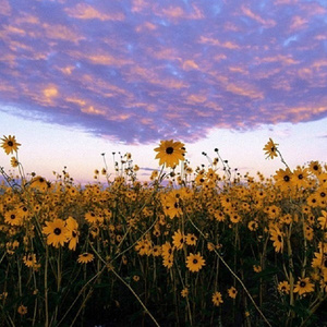 童子鸡与小女生做爱性生活黄色片
